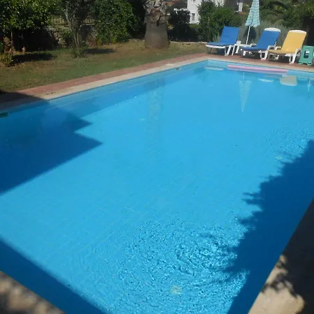 Dolphin Ovacik *